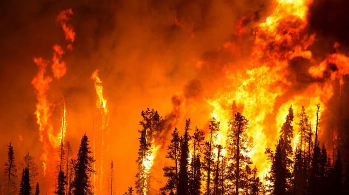 В России горит 1,5 миллиона га леса