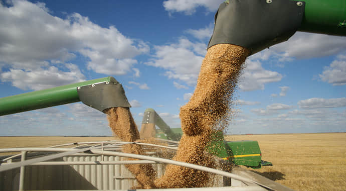 Farmers sound the alarm: additional rules can lead to halt in grain exports