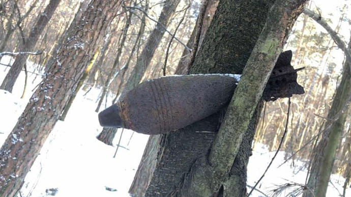 На Львівщині знайшли 80-річну міну, яка висіла на дереві 