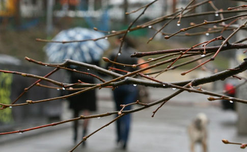 Температура в Киеве побила 82-летний рекорд