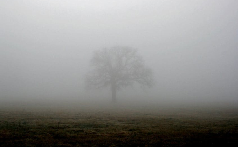 Доба туману: українців попередили про погіршення погоди