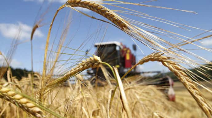 Ukraine's 2024 harvest forecast to be 10% down on last year – Ministry of Agrarian Policy