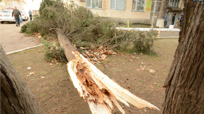 На Севастополь налетів шторм – повалені дерева, пошкоджені дахи