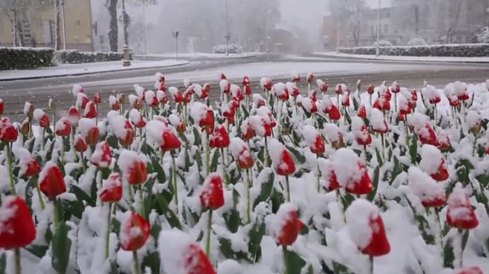 Хорватию засыпало снегом