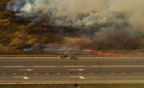 Пожежі знищили 18 тисяч гектарів екосистем: Якщо так і далі буде, до зими вигорить вся країна