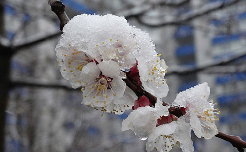 В Україну йде похолодання до -6 і сніг 