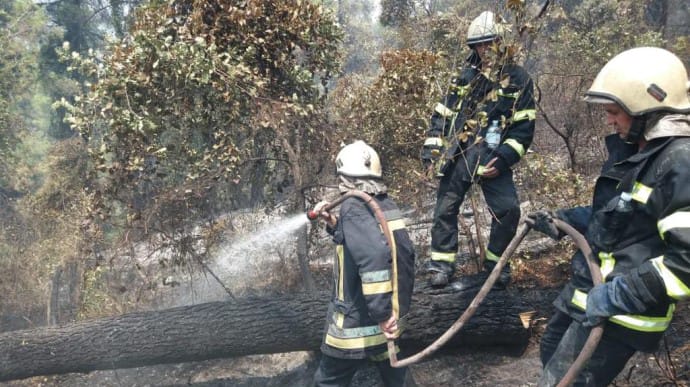 Українські пожежники загасили дві пожежі в Греції за добу