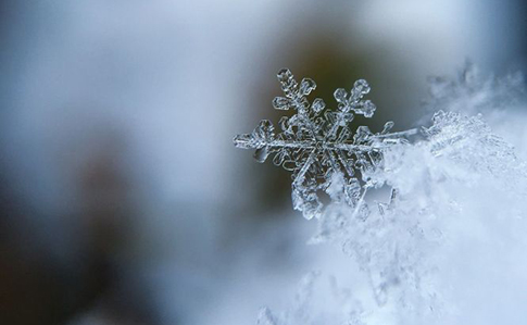 На вихідних в Україні мряка, Різдво може порадувати снігом