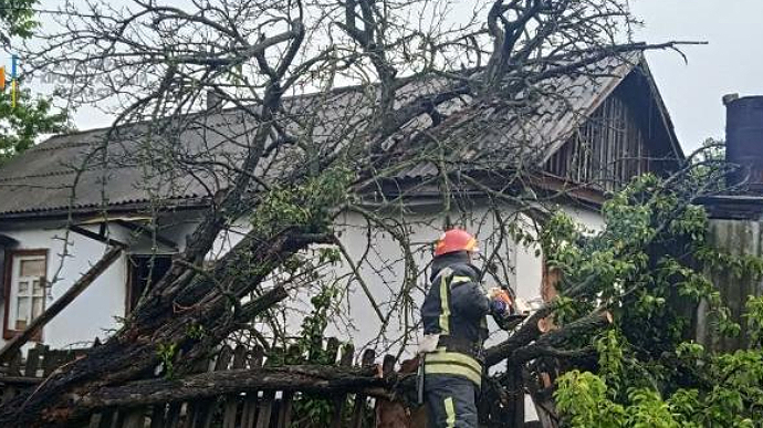 Непогода в Украине: два человека погибли, повалены деревья, подтоплены дома