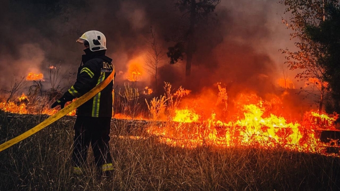 На Київщині горить лісова підстилка: у КМДА попереджають про погіршення якості повітря