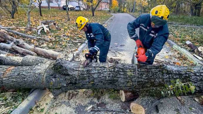 Сильний вітер повалив десятки дерев у Києві