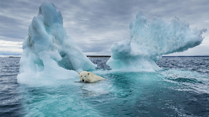 Лід в Арктиці тоншає вдвічі швидше, ніж вважалося — дослідження 