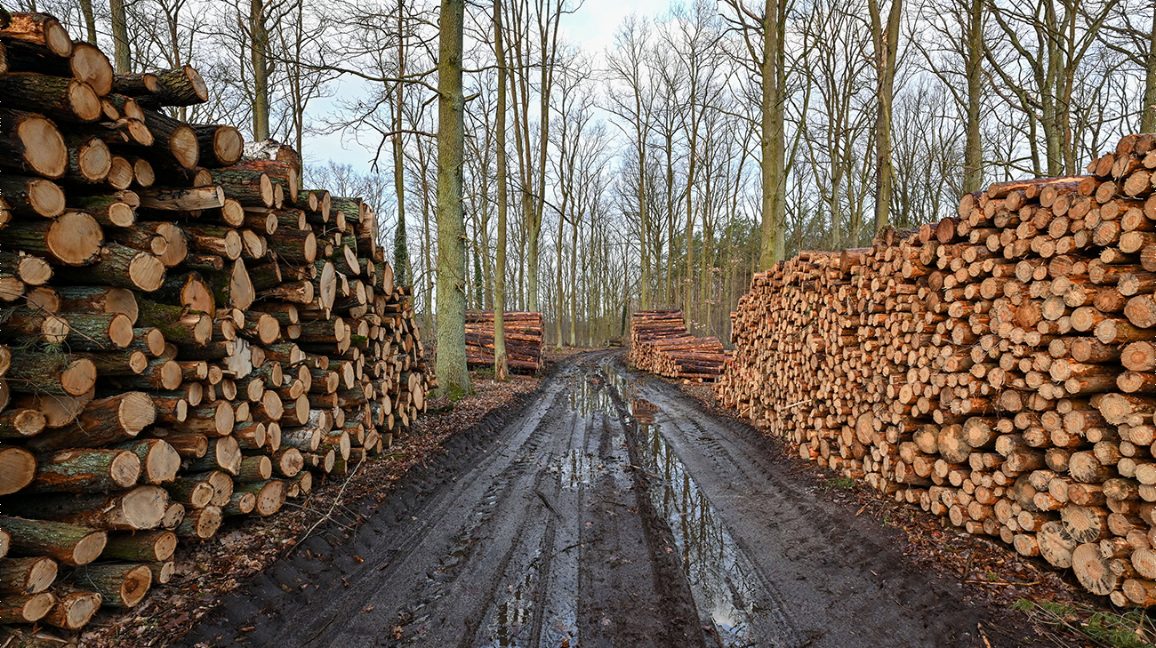 300 kilometres of roads in Kharkiv Oblast being repaired to improve logistics for military