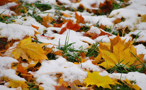 Зима близко: в Карпатах идет снег