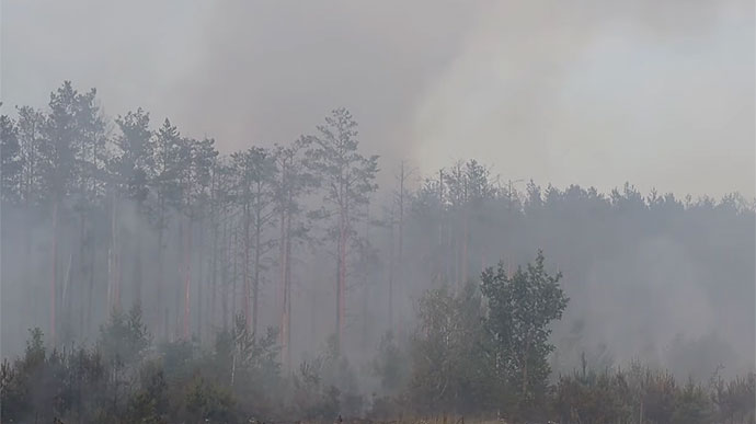 Вибухало 5 годин: під Києвом після ворожих обстрілів згоріло 10 га лісу 