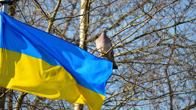 За полгода немного увеличилось количество украинцев, согласных на территориальные уступки − КМИС 