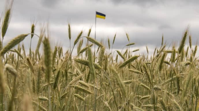 Losses of Ukrainian farmers in Donetsk Oblast exceed US$126 million since start of full-scale war