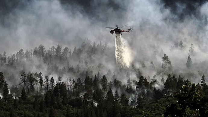 В России горит более 900 га леса