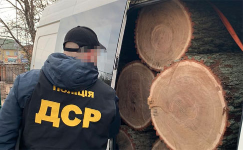 В Киеве задержали черных лесорубов: срезали дуба в заказнике на миллион