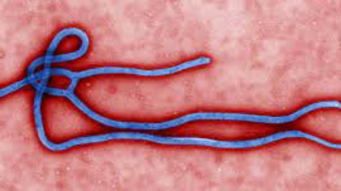 У Гвінеї закінчилася друга епідемія Ебола 