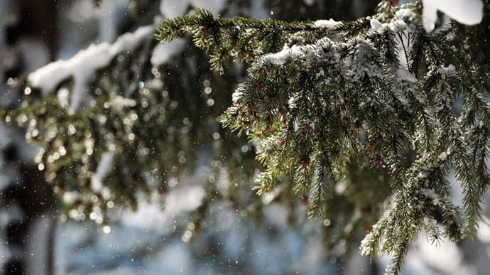 У четвер в Україні йтиме сніг з дощем, в наступні дні − без опадів 