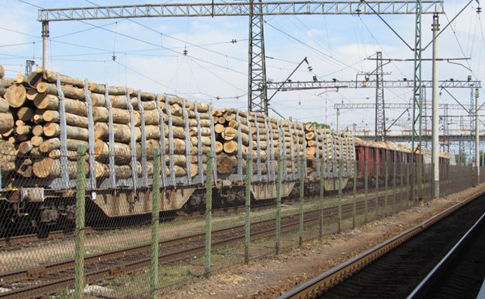 Луценко рассказал о борьбе с незаконным экспортом леса