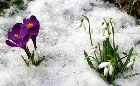 Синоптик говорит, что к Украине подкрадывается весна