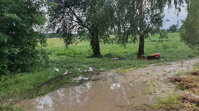 От удара молнии в Черкасской области погибли два человека, еще один в больнице