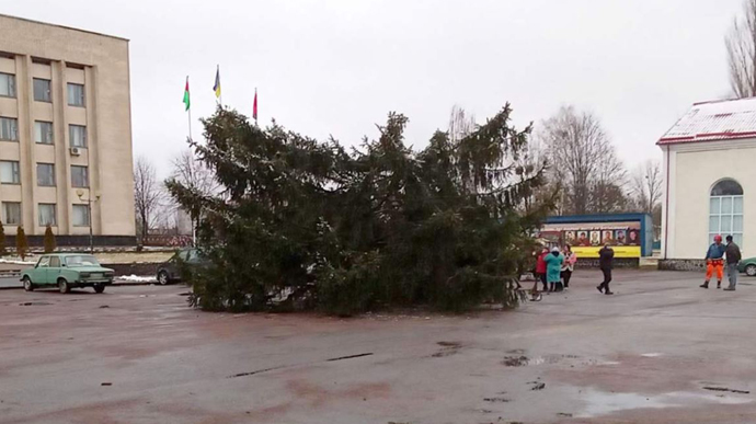 Новогодняя елка на Житомирщине сломалась и упала вместе с человеком на верхушке 