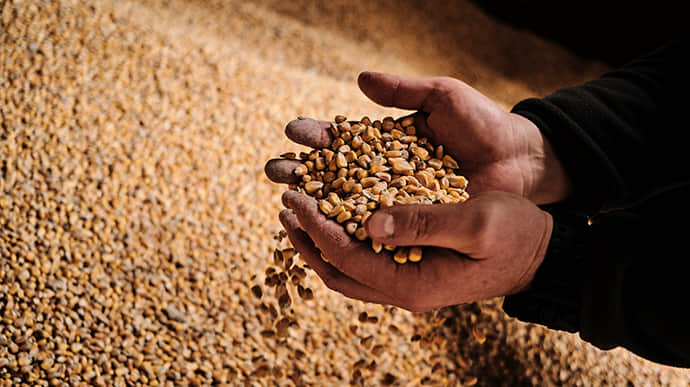 European Commission lifts embargo on Ukrainian grain import