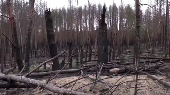 Destroyed dams, hundreds of kilometres of burnt forest: Ukrainian military video shows Kharkiv Oblast after liberation from Russian occupiers
