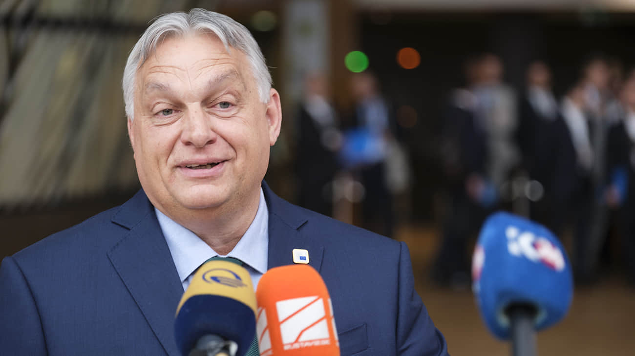 we.ua - Зеленський до Орбана: Не треба нас втягувати у свої вибори