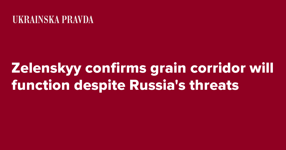 Zelenskyy confirms grain corridor will function despite Russia's threats