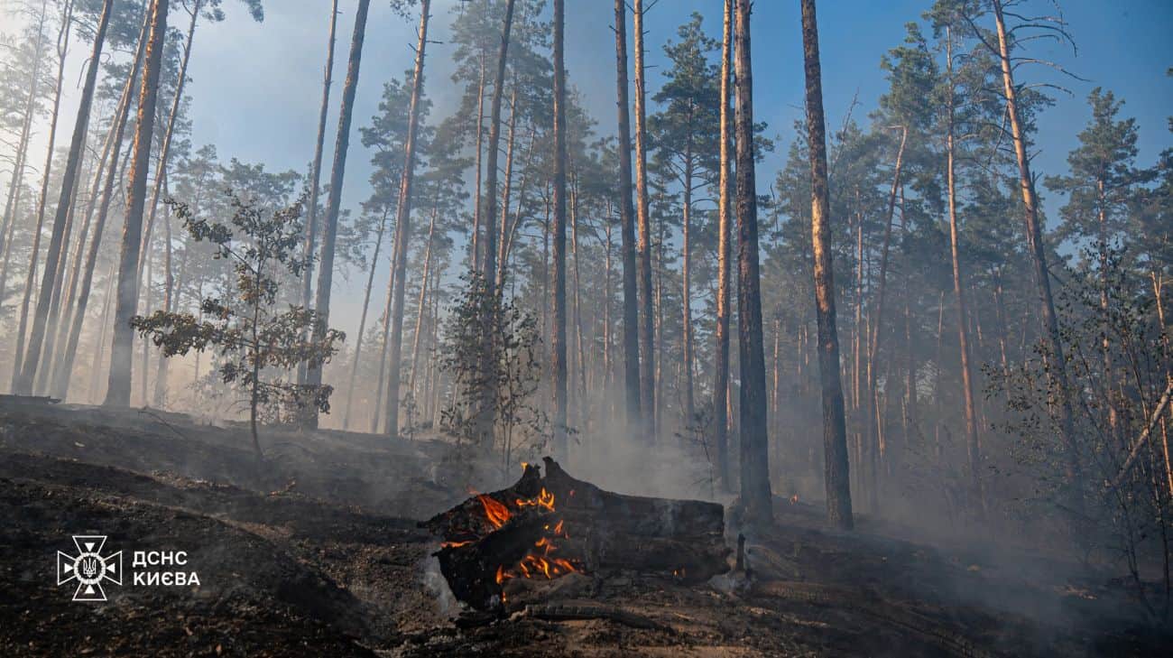 У Києві за день сталося 13 пожеж в екосистемах, це катастрофа для природи – ДСНС