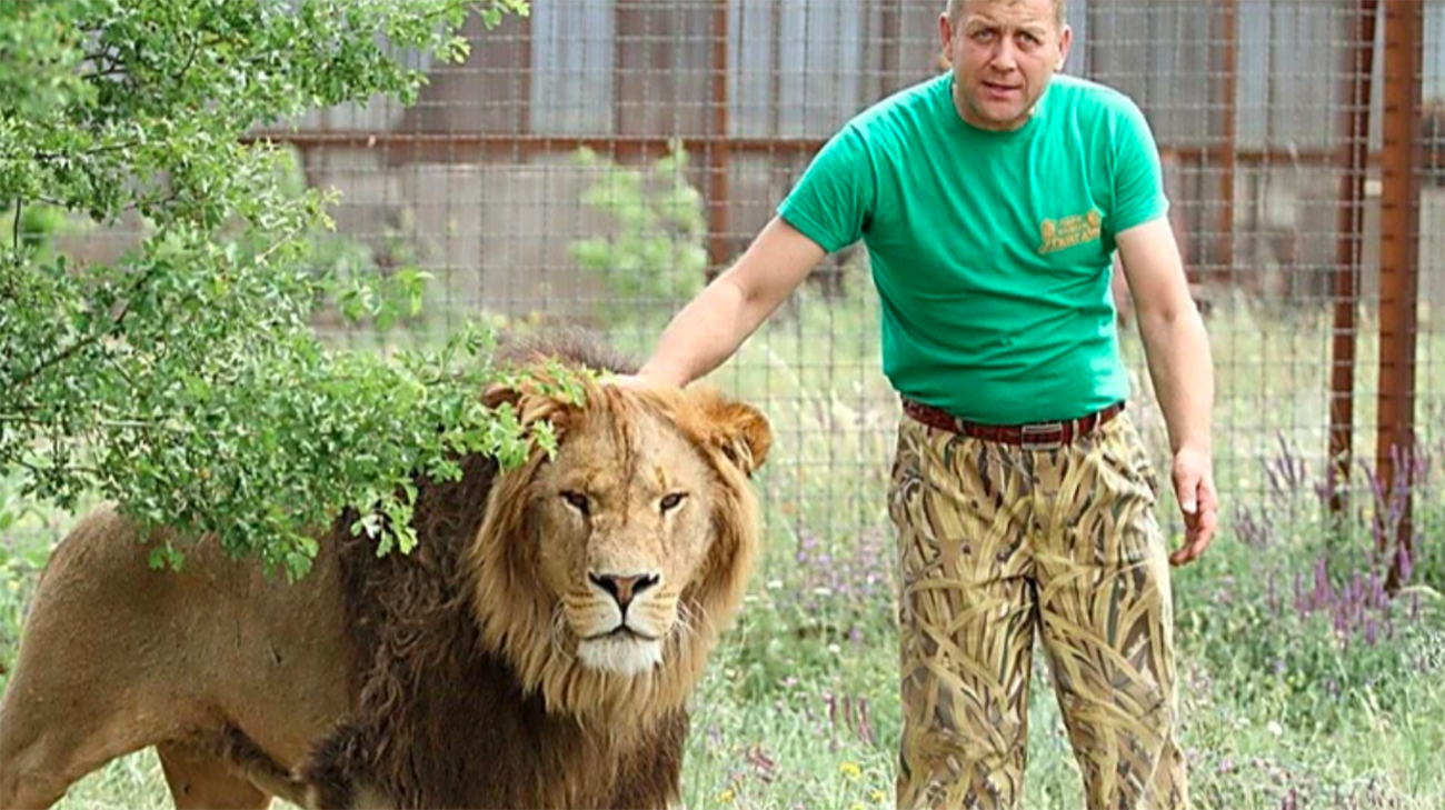 Crimean collaborator Zubkov, who stole animals from occupied territories, bitten by lion