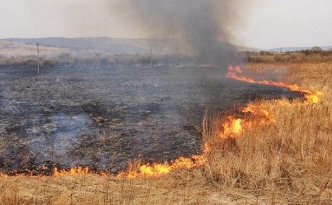 Из-за поджога сухой травы во Львове загорелся газопровод