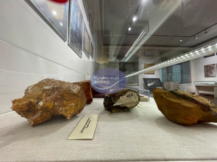 Russian occupation administration is holding an exhibition displaying items stolen from a historic reserve near Melitopol. Photo: Crimean Wind on Telegram