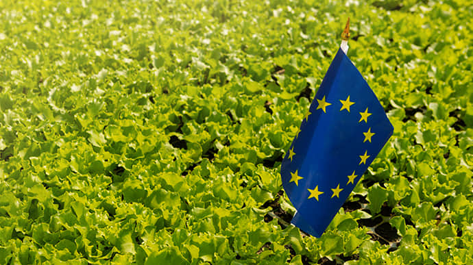 Брюссель продовжує пом’якшене обмеження на імпорт з України для п’яти членів ЄС