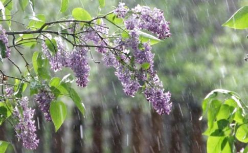 9 травня половину країни заллють дощі, на іншій буде сонячно 