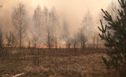 Масштабные пожары на Житомирщине: поджигателей задержали