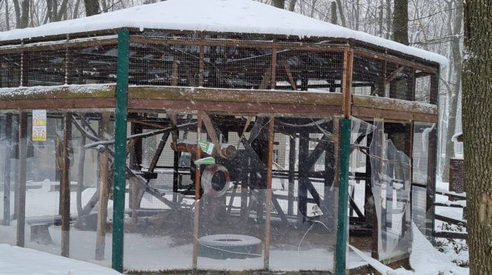 Two volunteers shot and killed by Russian soldiers in Kharkiv Ecopark 