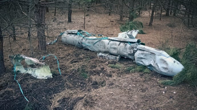 С поврежденным корпусом и без двигателя: в лесу на Сумщине нашли российскую ракету Х-59