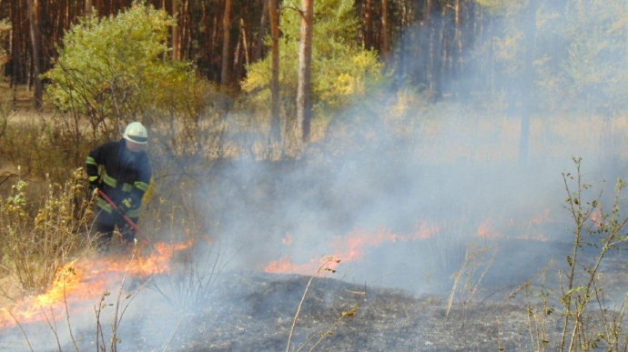 На Луганщині знову палає сухостій