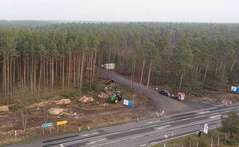 Суд приказал Tesla остановить вырубку леса на месте строительства завода под Берлином