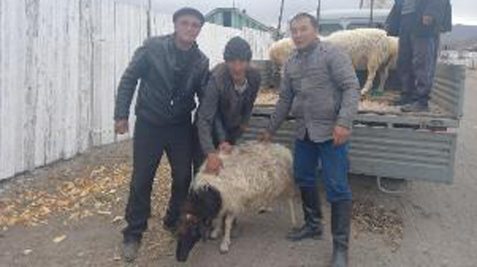 Россияне в Туве выделили семьям мобилизованных по 1 барану | Украинская  правда