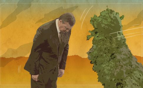 Хроніка 17 травня. Януковича атакує вінок, а Томенко розмірковує про жадібність Порошенка