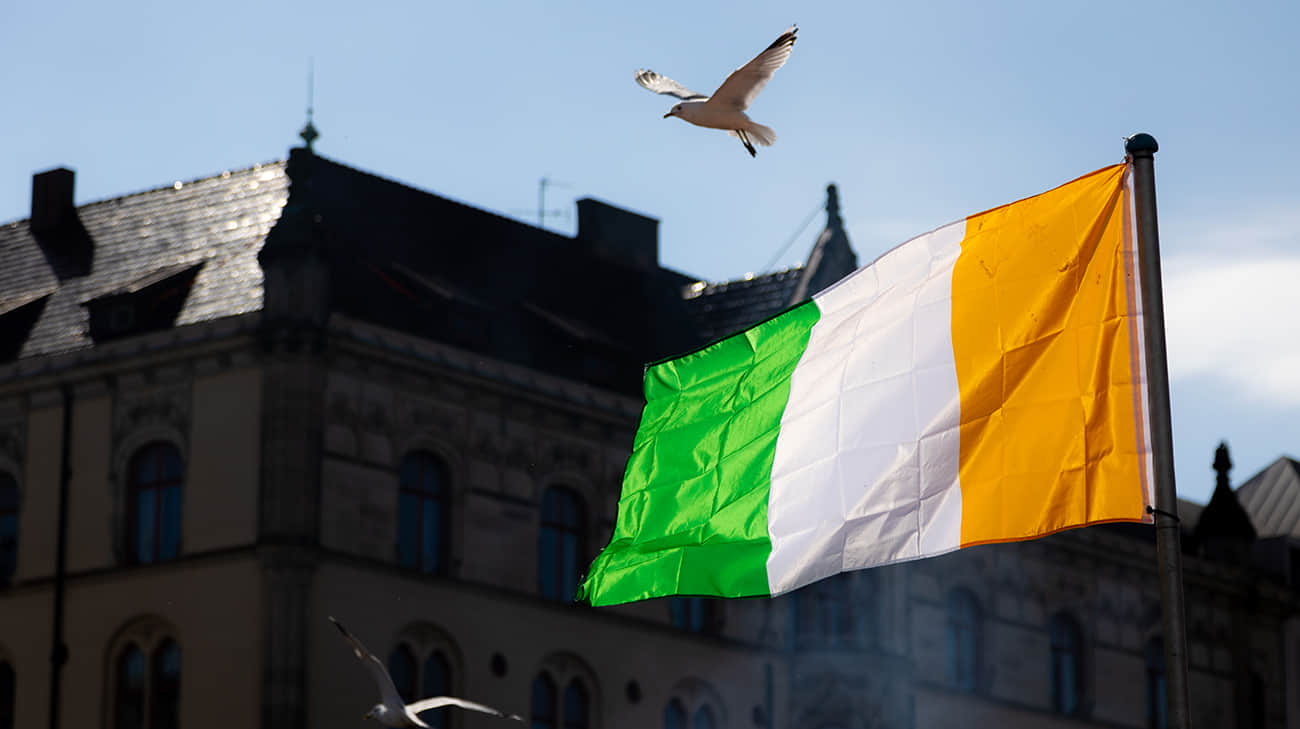 Ukraine starts discussing security agreement with Ireland