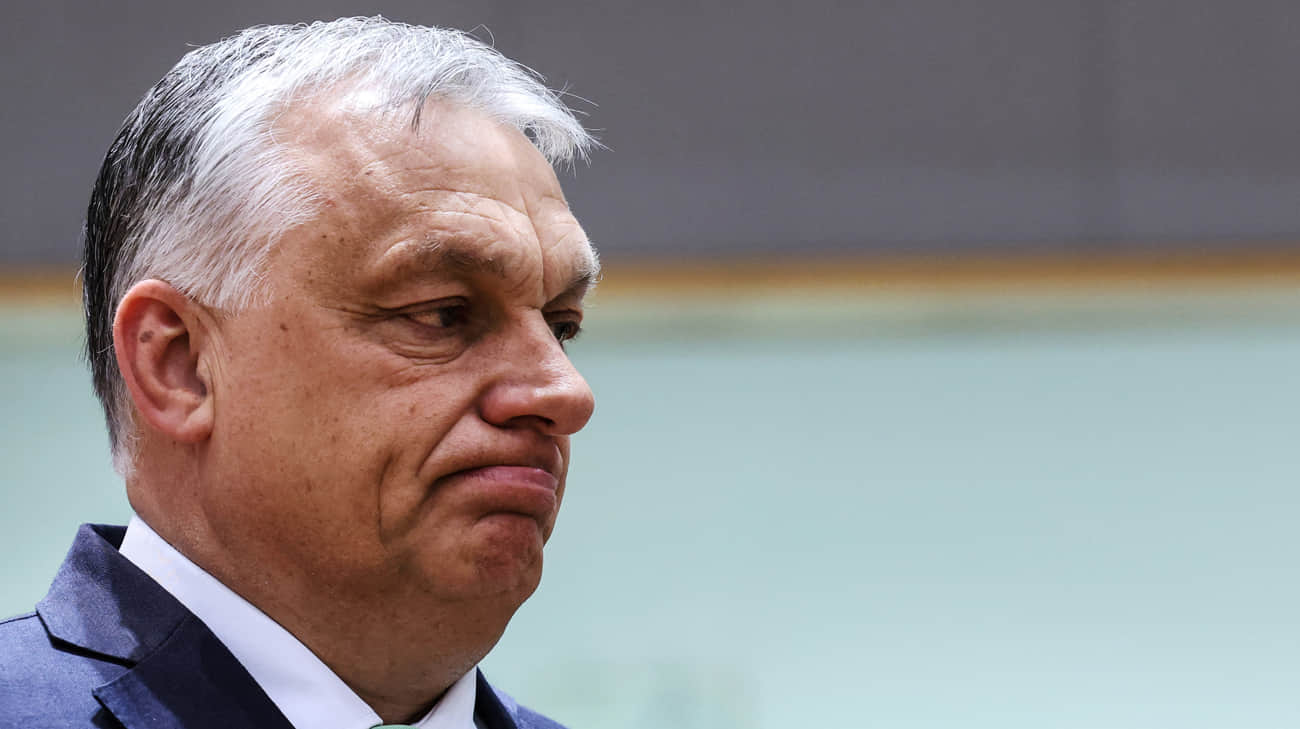 US ambassador to Hungary explains why Orb&#225;n cannot call himself "peacemaker"