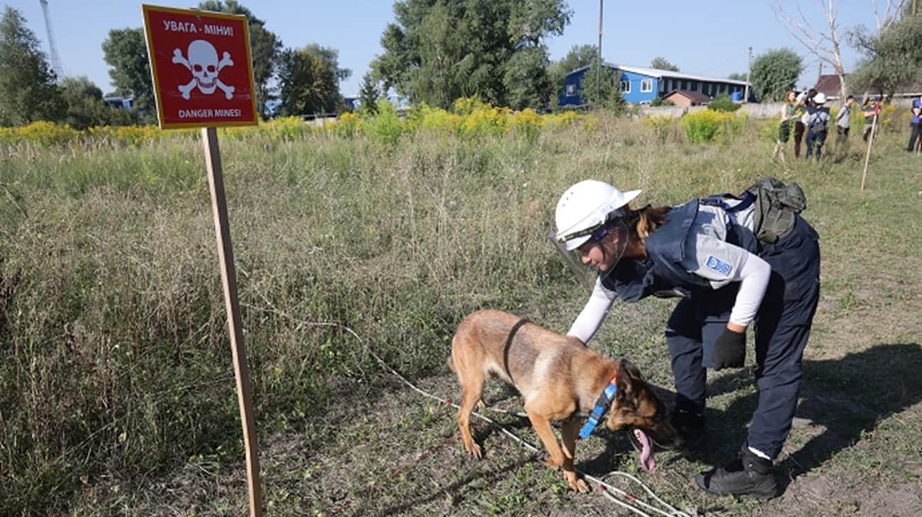 Ukraine loses over US$11 billion annually due to mined areas, study shows