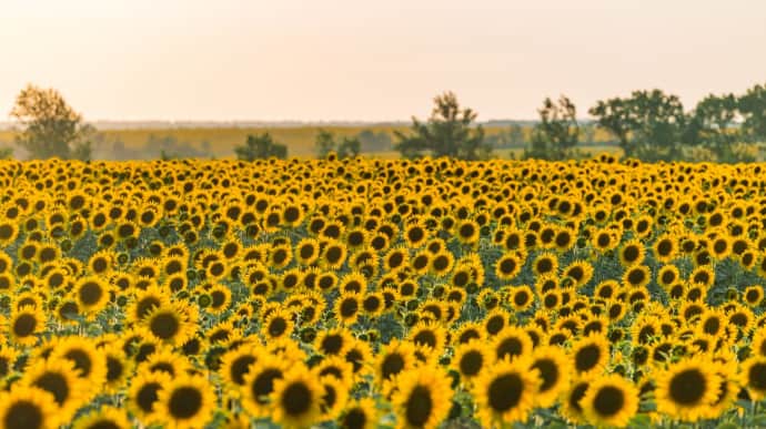 Спека в Україні в понеділок сягатиме 41°